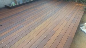 20161111_135038 (Medium)
